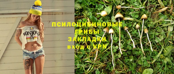 хмурый Белокуриха