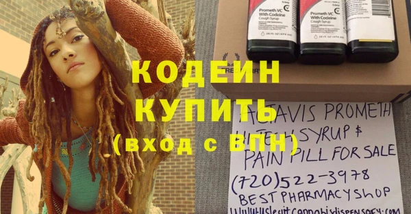 хмурый Белокуриха