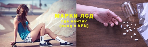 хмурый Белокуриха