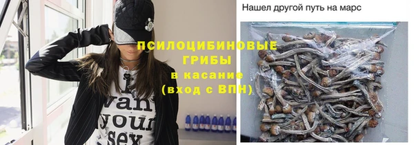 хмурый Белокуриха